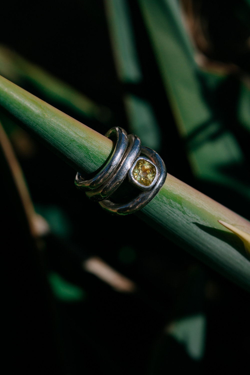 ©StudioLumï-WEB-04615