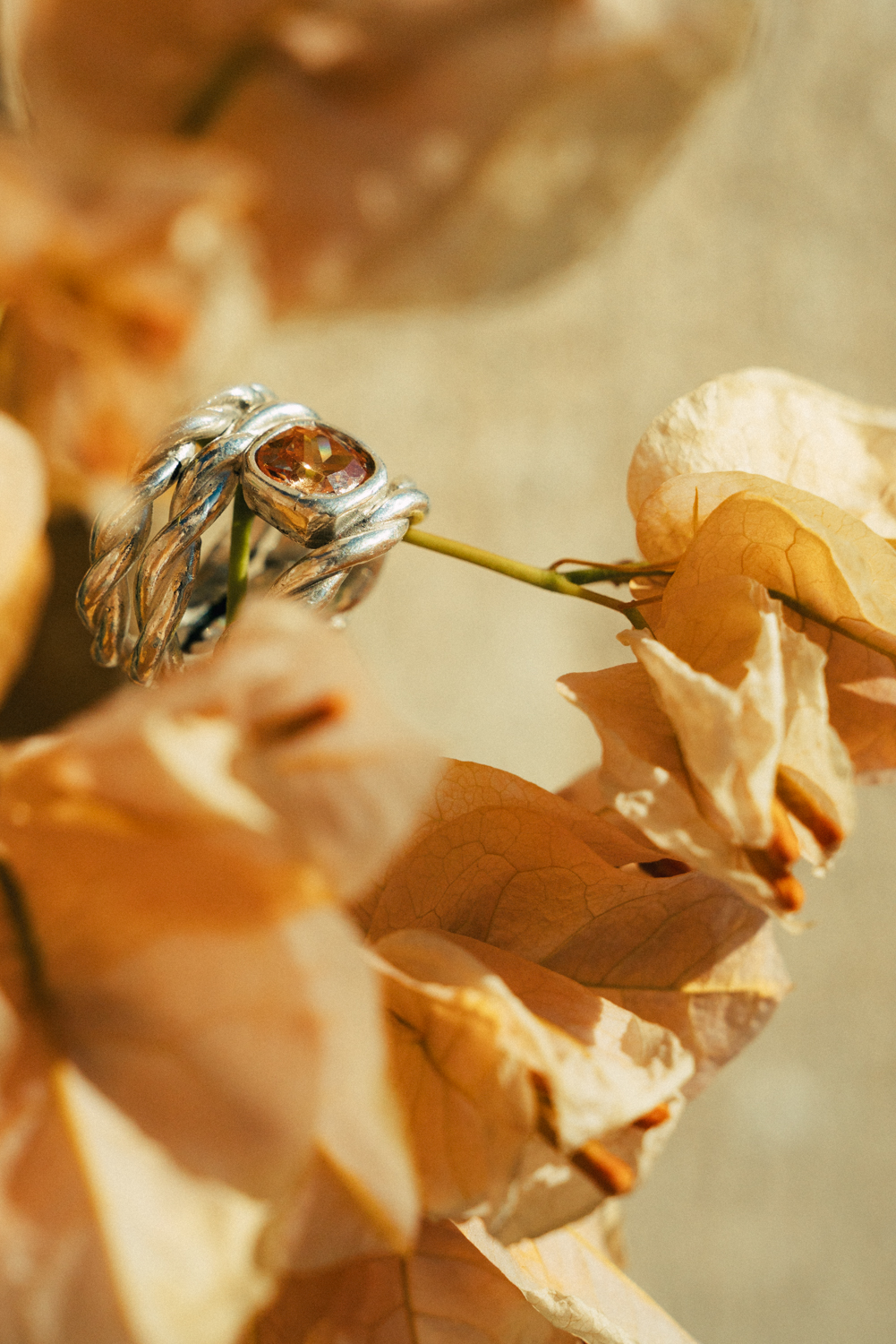 ©StudioLumï-WEB-04862-2